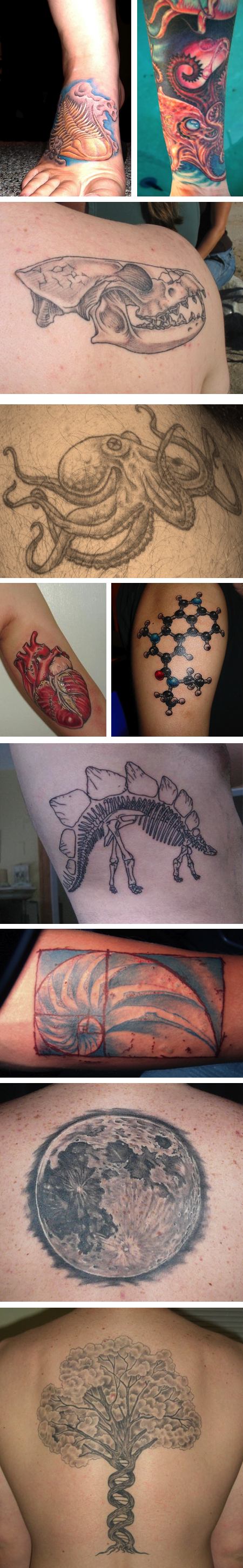 Science Ink: Tattoos of the Science Obsesssed, Carl Zimmer's Science Tattoo Emporium
