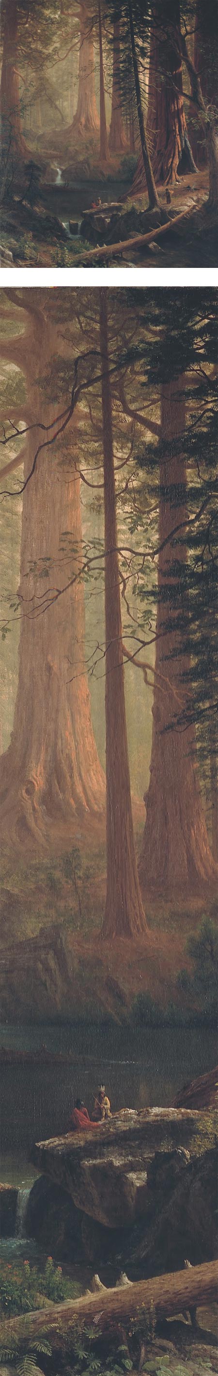 Giant Redwood Trees of California, Albert Bierstadt
