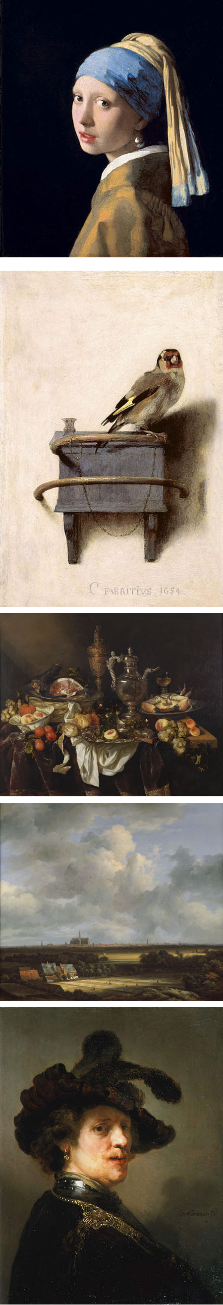 Girl With a Pearl Earring: Dutch Paintings From the Mauritshuis, Johnannes Vermeer, Carel Fabritius, Abraham van Beyeren, Jacob van Ruisdael, Reambrandt van Rijn