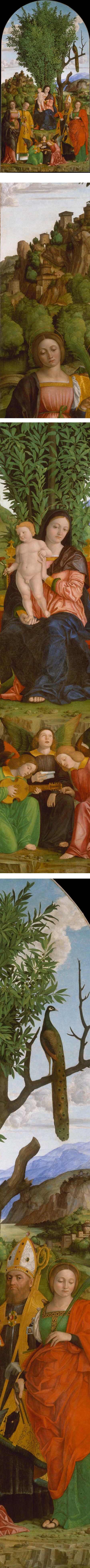 Madonna and Child with Saints, Girolamo dai Libri 