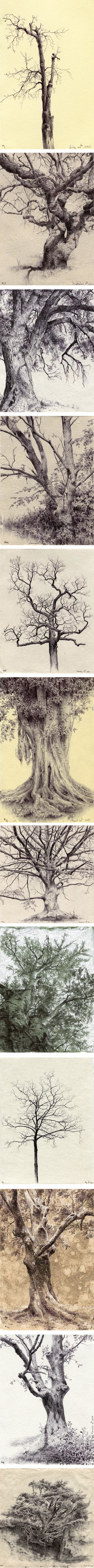Secret Life of Trees, Dina Brodsky
