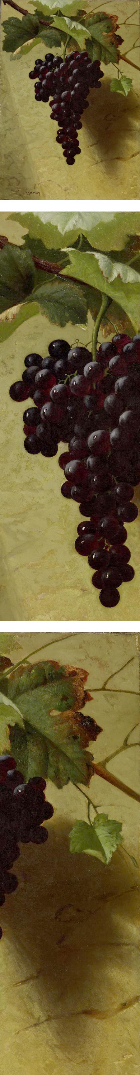 Bunch of Grapes, Andrew Way still life painting