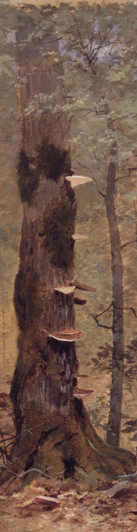 In the Woods, watercolor and gouache by Francis Hopkinson Smith (detail)