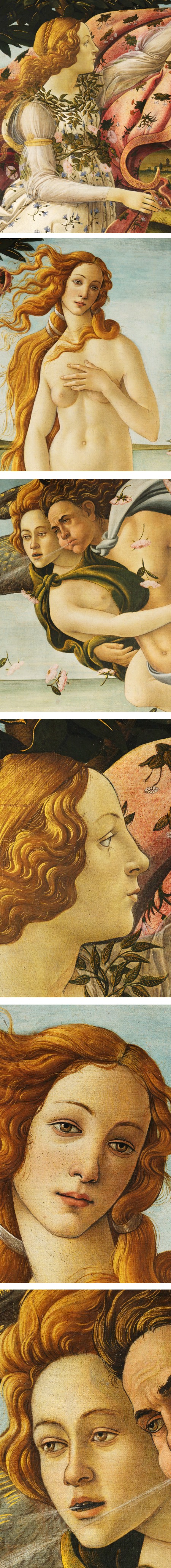The Birth of Venus, sndro Botticelli (reversed - details)