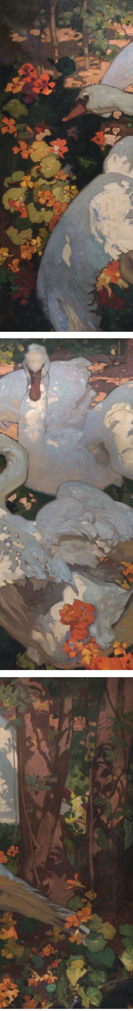 Frank Brangwyn's swans