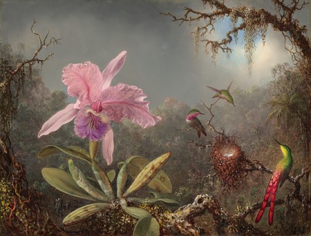 Cattleya Orchid and Three Hummingbirds, Martin Johnson Heade