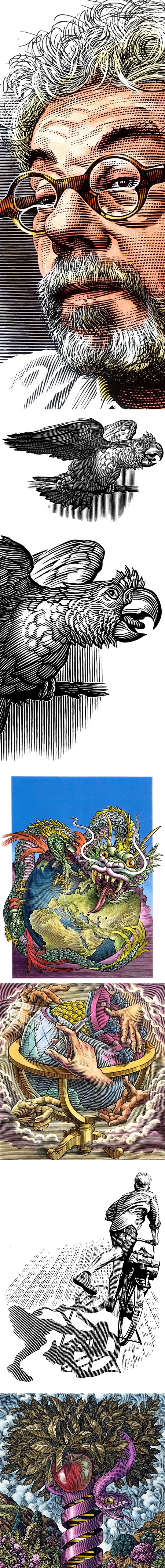 Scratchboard illustrations by Bill Sanderson